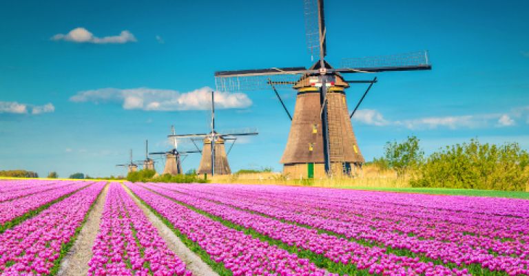 Week-end Amsterdam, Keukenhof & les moulins de Kinderdijk