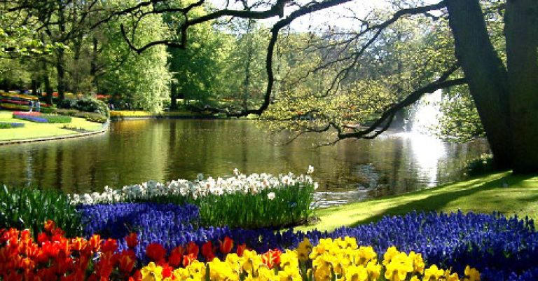 Week-end Amsterdam, Keukenhof & les moulins de Kinderdijk