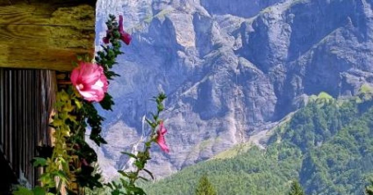 Savoie, Lac du Bourget