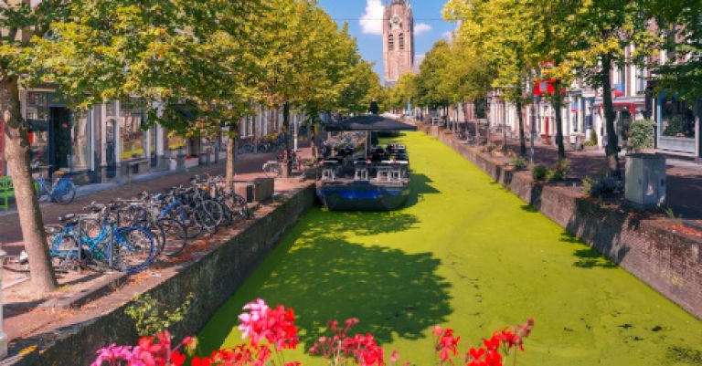 Week-end Pays-Bas : Volendam, La Haye & Delft 