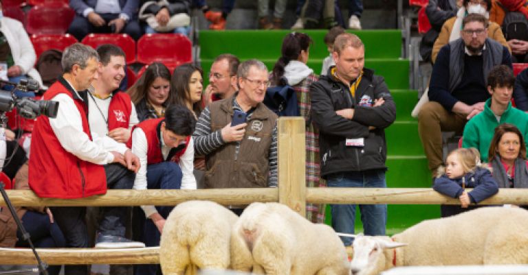 Salon de l'agriculture - Paris