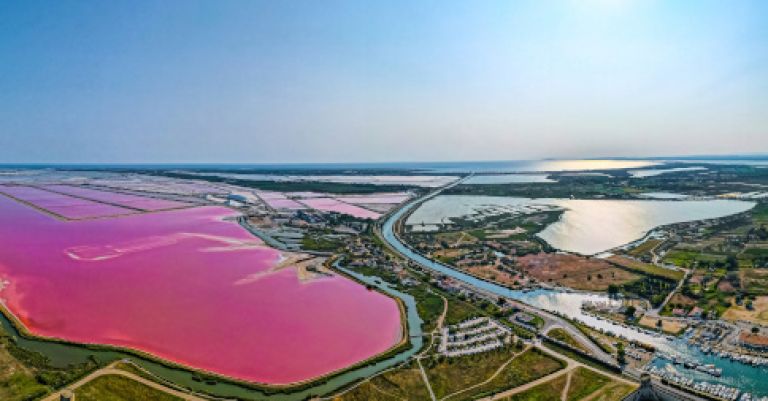 Le Languedoc et la Camargue