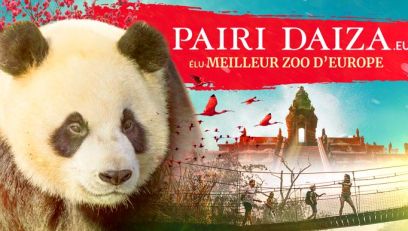 PAIRI DAIZA